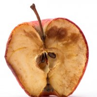 Mac Attacks Are On The Rise